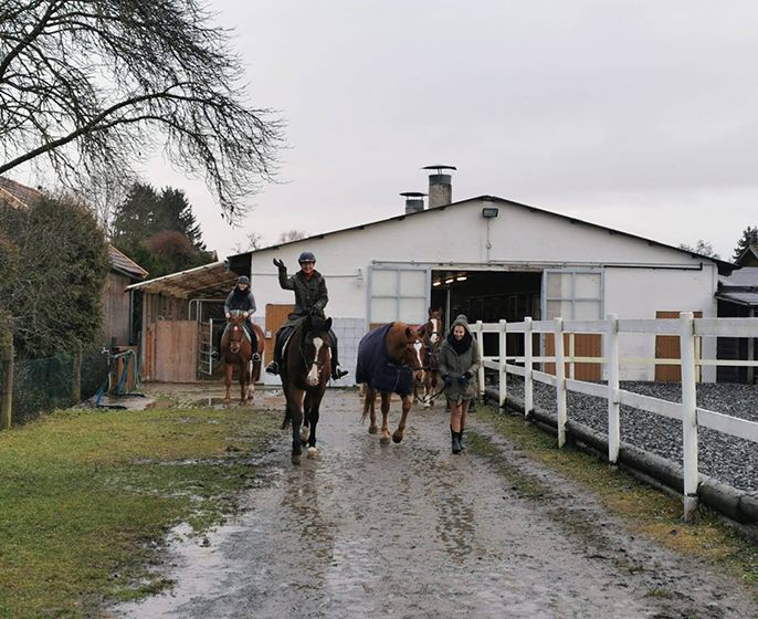 Gesundes neues Jahr 2024